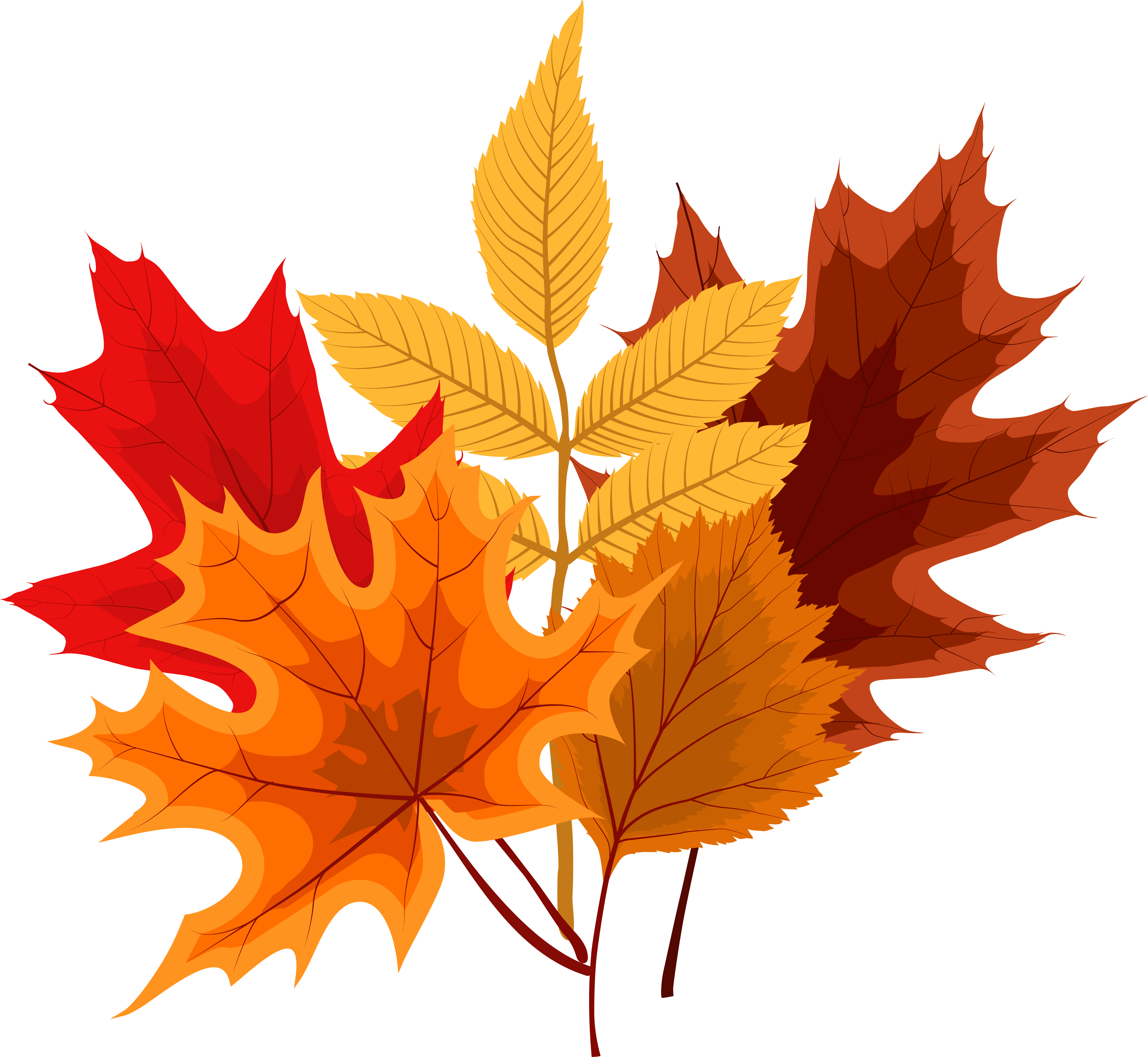 An arrangement of vibrant autumn leaves in shades of red, orange, yellow, and brown, overlapping each other with intricate vein details. The leaves vary in shape and size, capturing the warm hues of fall.